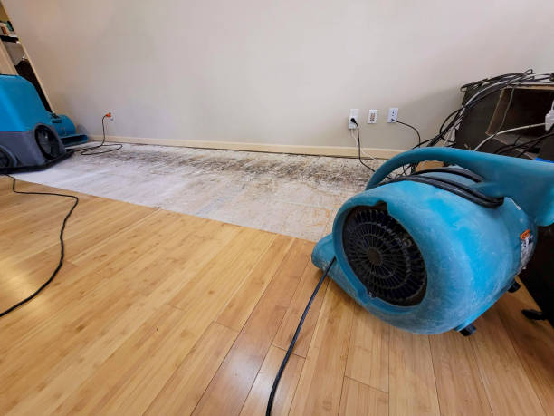 Reliable Storm Water Damage Restoration contractor in Milford, TX by Hirex Water Damage