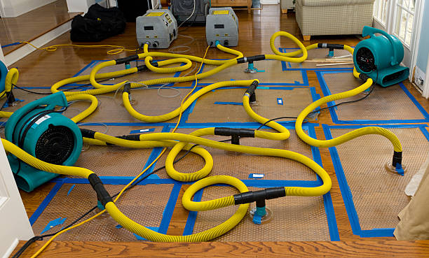Professional Storm Water Damage Restoration technician working in Milford, TX